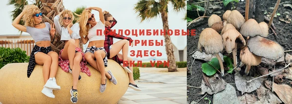 экстази Каменка
